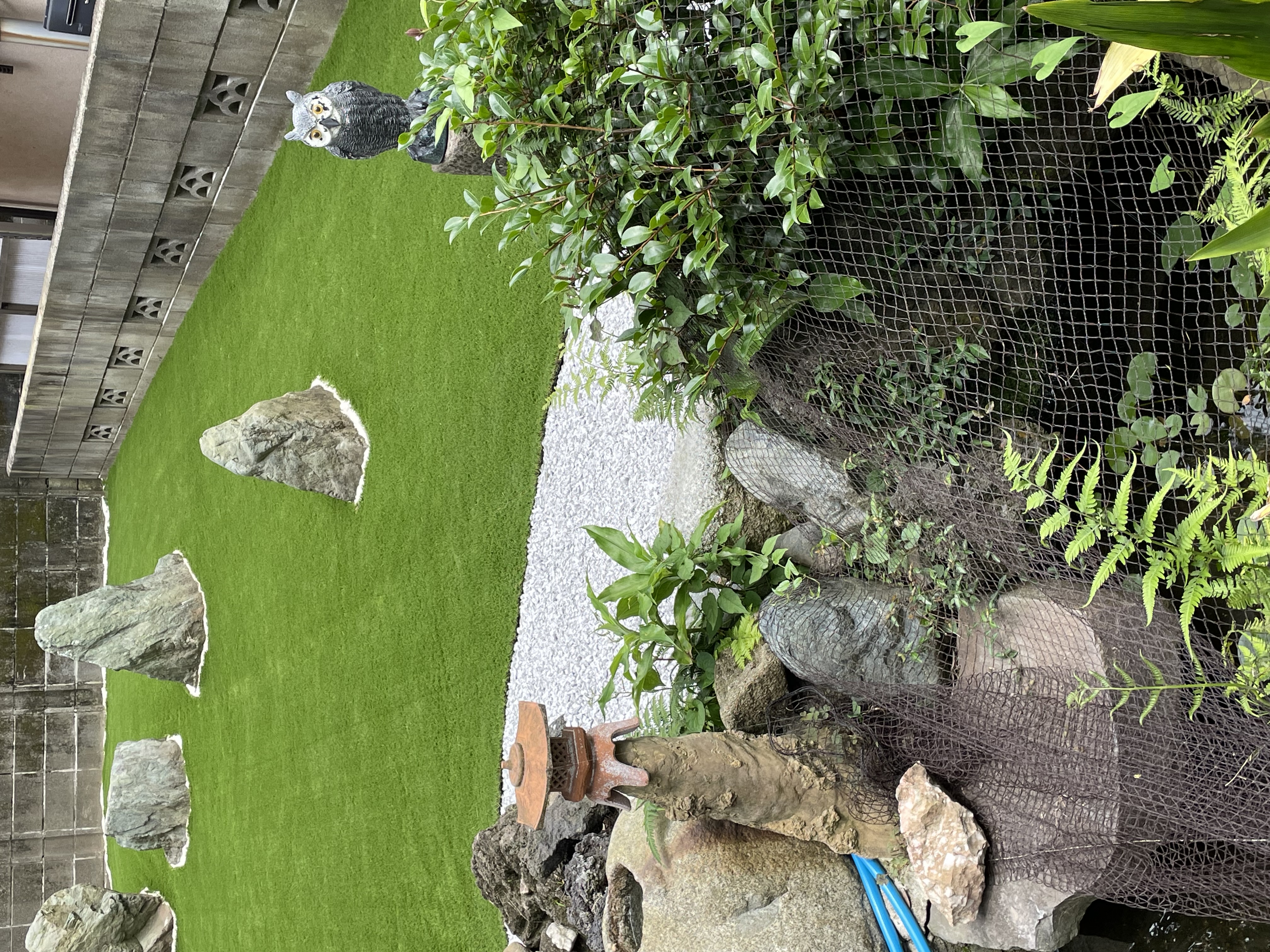 ダウンロード (8)
